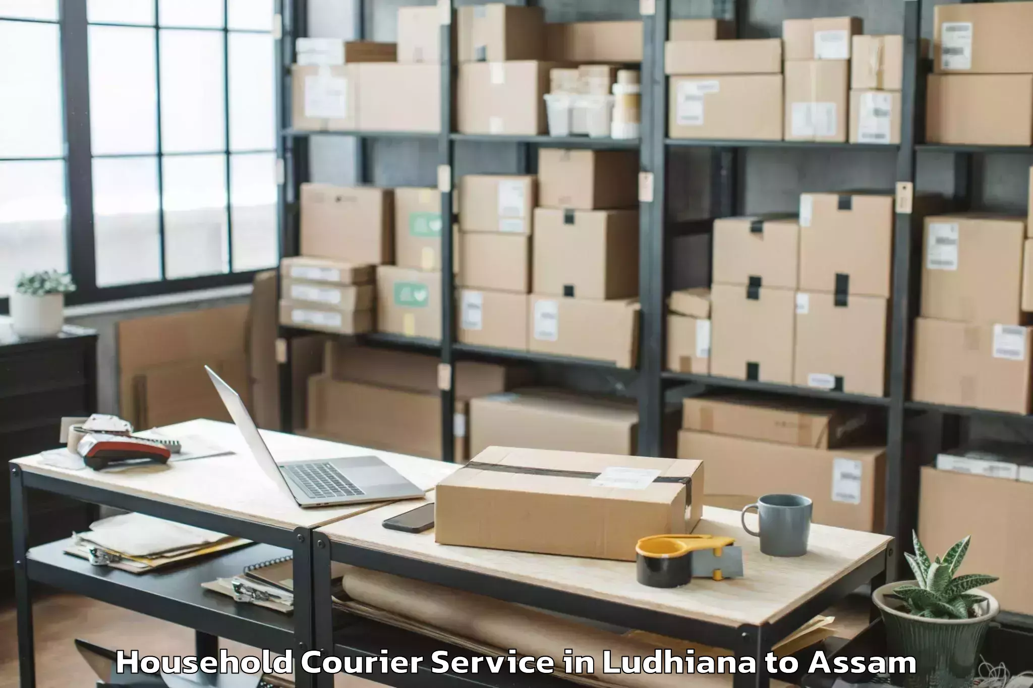 Hassle-Free Ludhiana to Hamren Household Courier